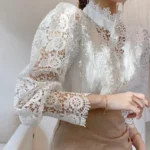 New Women's Long Sleeve High Neck  Chic Blouse, Lace Paneled Hollow Sleeve Elegant Top, Vintage Fashion Office Lady Outfits - Image 7